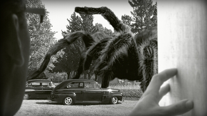 The Giant Spider!